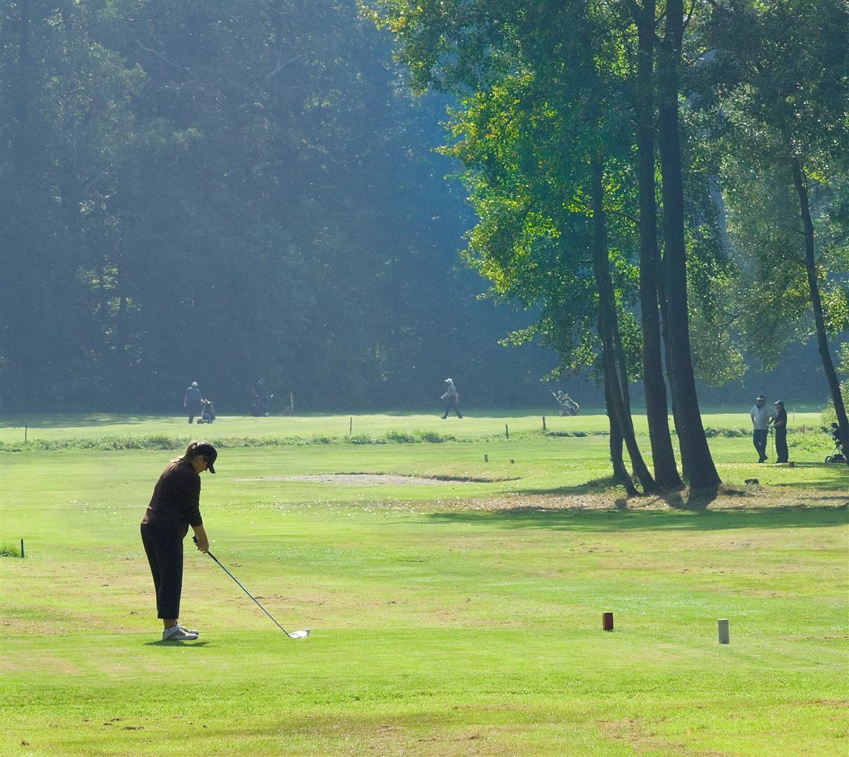 Golf Club Pszczyna - Galeria Gwna Pola Golfowego